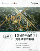 取湖师大办学